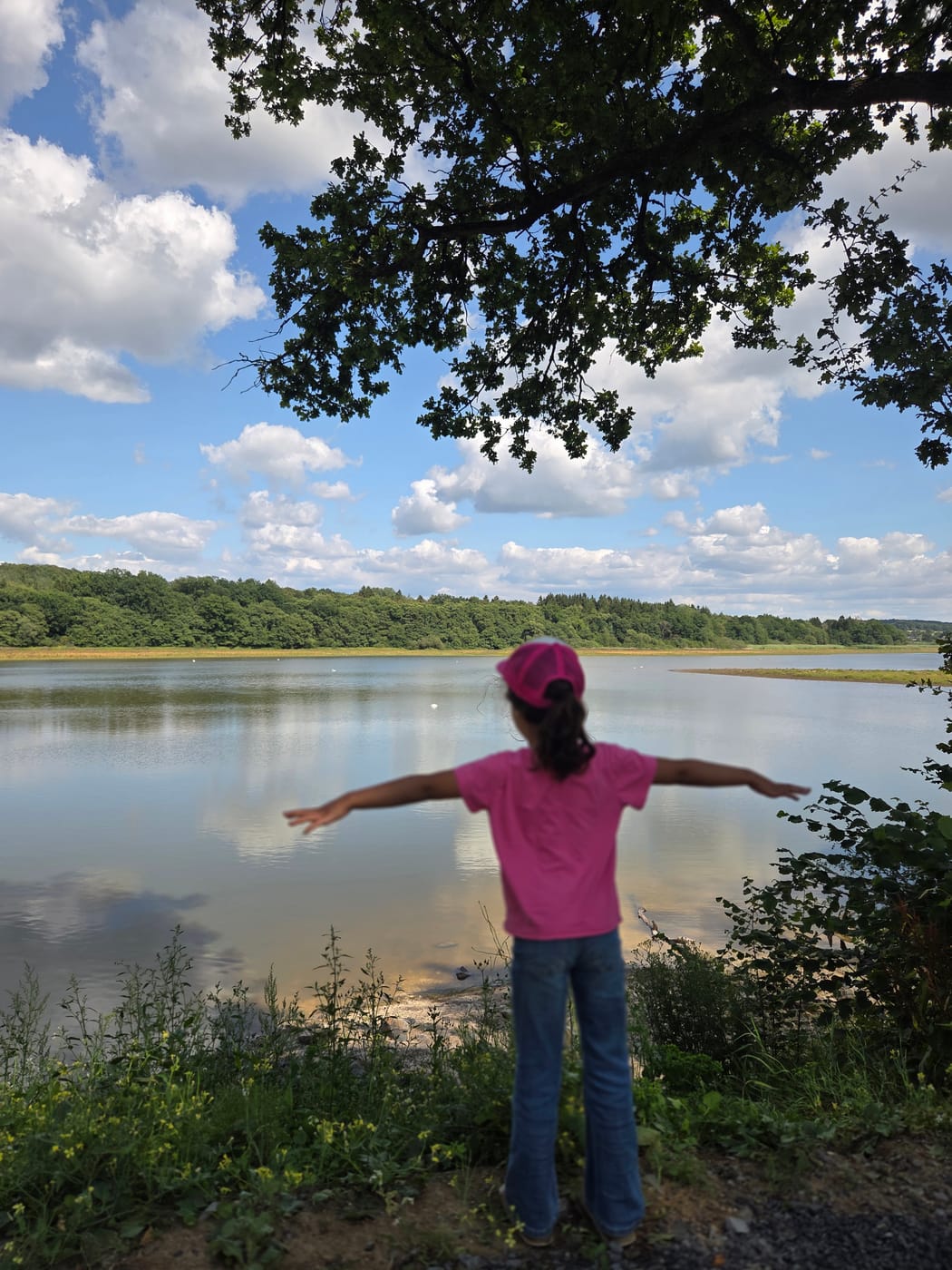 Dreifelder Weiher