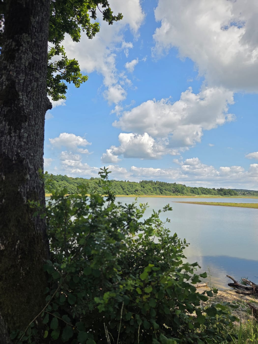 Dreifelder Weiher