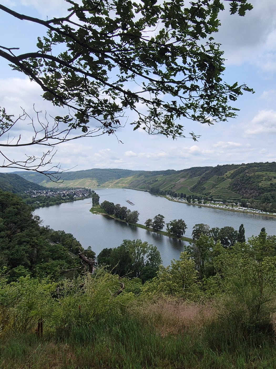 Langhalsweg