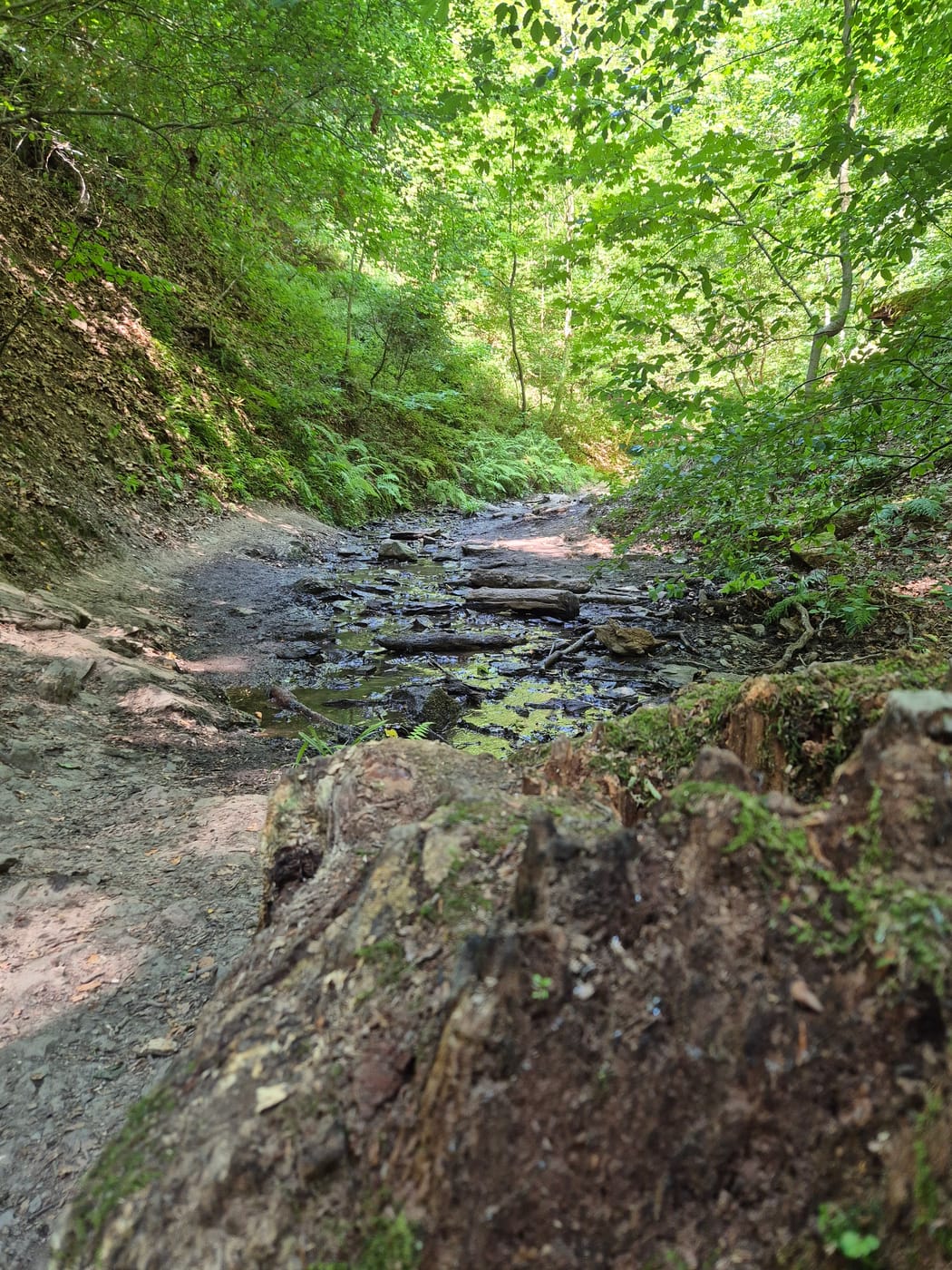 Ruppertsklamm