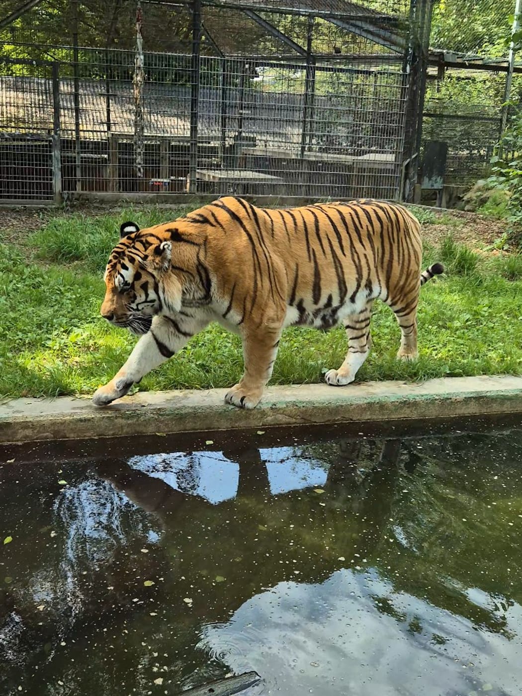Zoo Neuwied